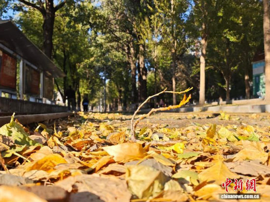 �S��54·��܉�܇�ؾ��h(hu��n)��������������߅�L(f��ng)ò������(j��)�����S���~䁝M·�������� ���z