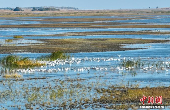 10��16��������ĪĪ����Ҽ���Ȼ���o(h��)�^(q��)��(n��i)�������ڑ�ˮ��(�o�˙C(j��)��Ƭ)�w��� �z