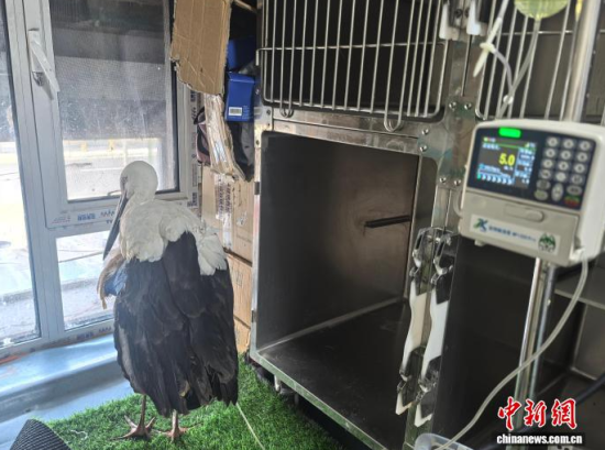 �܂��Ė|�����X���ڽ���ݔҺ�ί�����ʯ���� �z