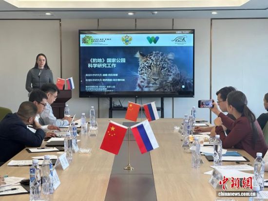 ���_˹���ҷ������o(h��)�|������(j��ng)�(y��n)�������� �z