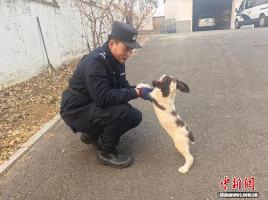 ���Ҳ������c�[�����B(y��ng)�H�ܶ�����ʯ���� �z