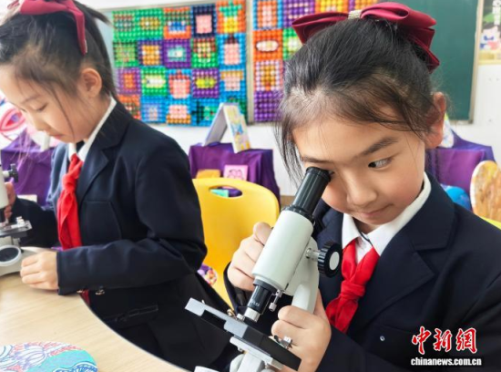 �W(xu��)��ͨ�^�@΢�R�^���G�~��(x��)������ʯ���� �z