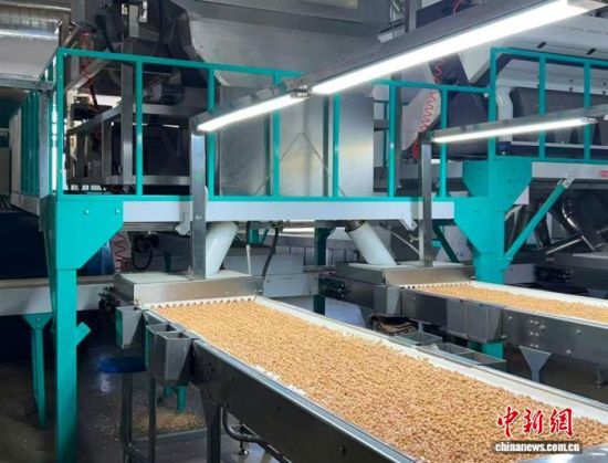 �������a(ch��n)��(xi��n)��(�L(zh��ng)�����P(gu��n)���D)