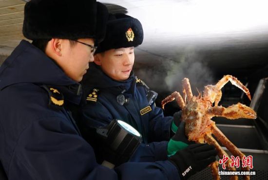 �L�����P(gu��n)���٬q�����P(gu��n)�P(gu��n)�T���M�ڵ���з�_չ��򞹤�����̽��V �z