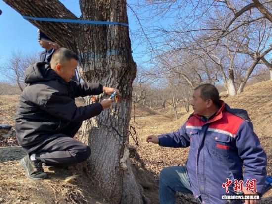 �����ˆT���ڌ���������������w�z�������� �z