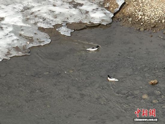 ���A��ɳ���ڼtʯ�օ^(q��)ˮ����������L(zh��ng)��ɽɭ�����F(tu��n)�tʯ�֘I(y��)���޹�˾���D